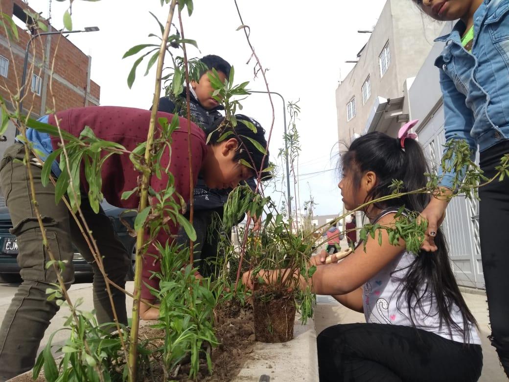 Barrio 20 — foto 4