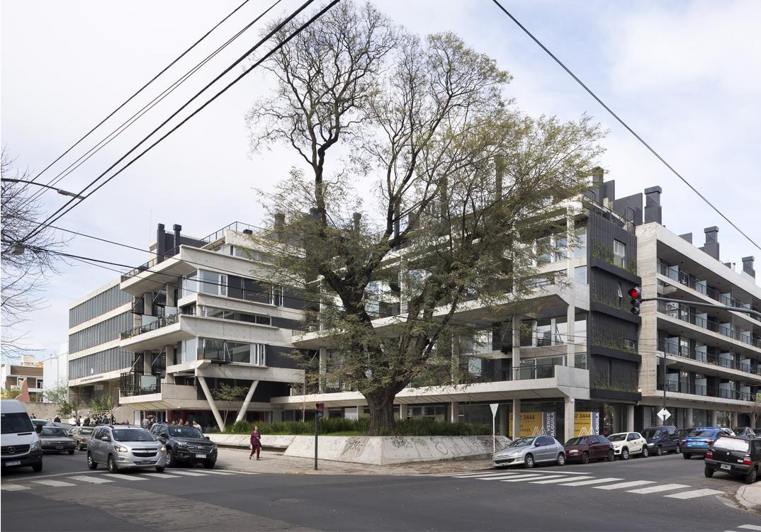 Casa Ho — foto 2