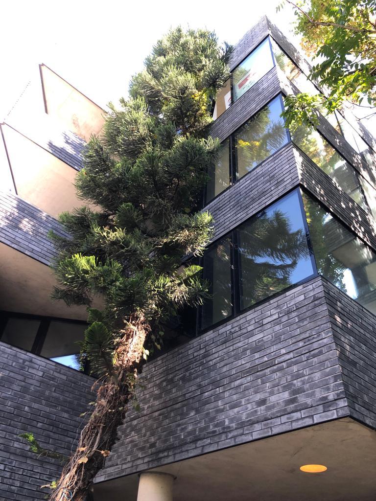 Edificio Ciudad de la Paz 90 — foto 2