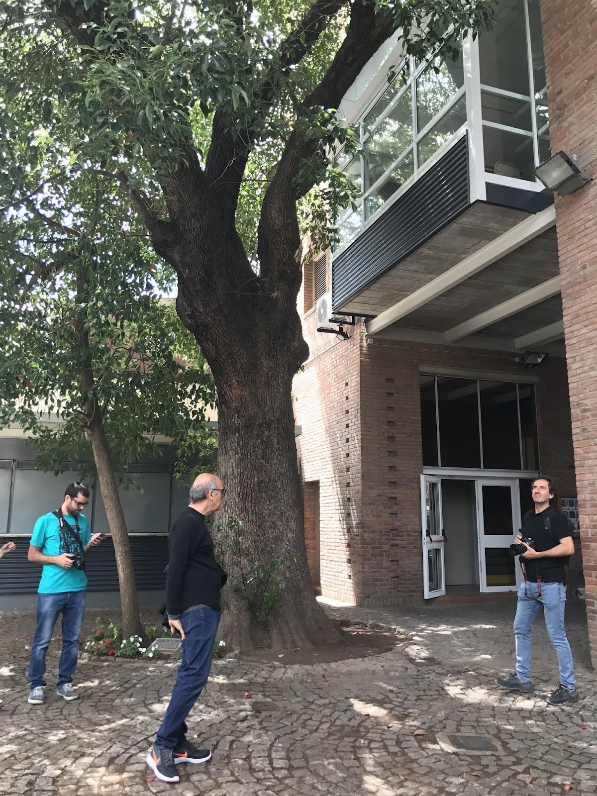 Escuela Ecos — foto 5