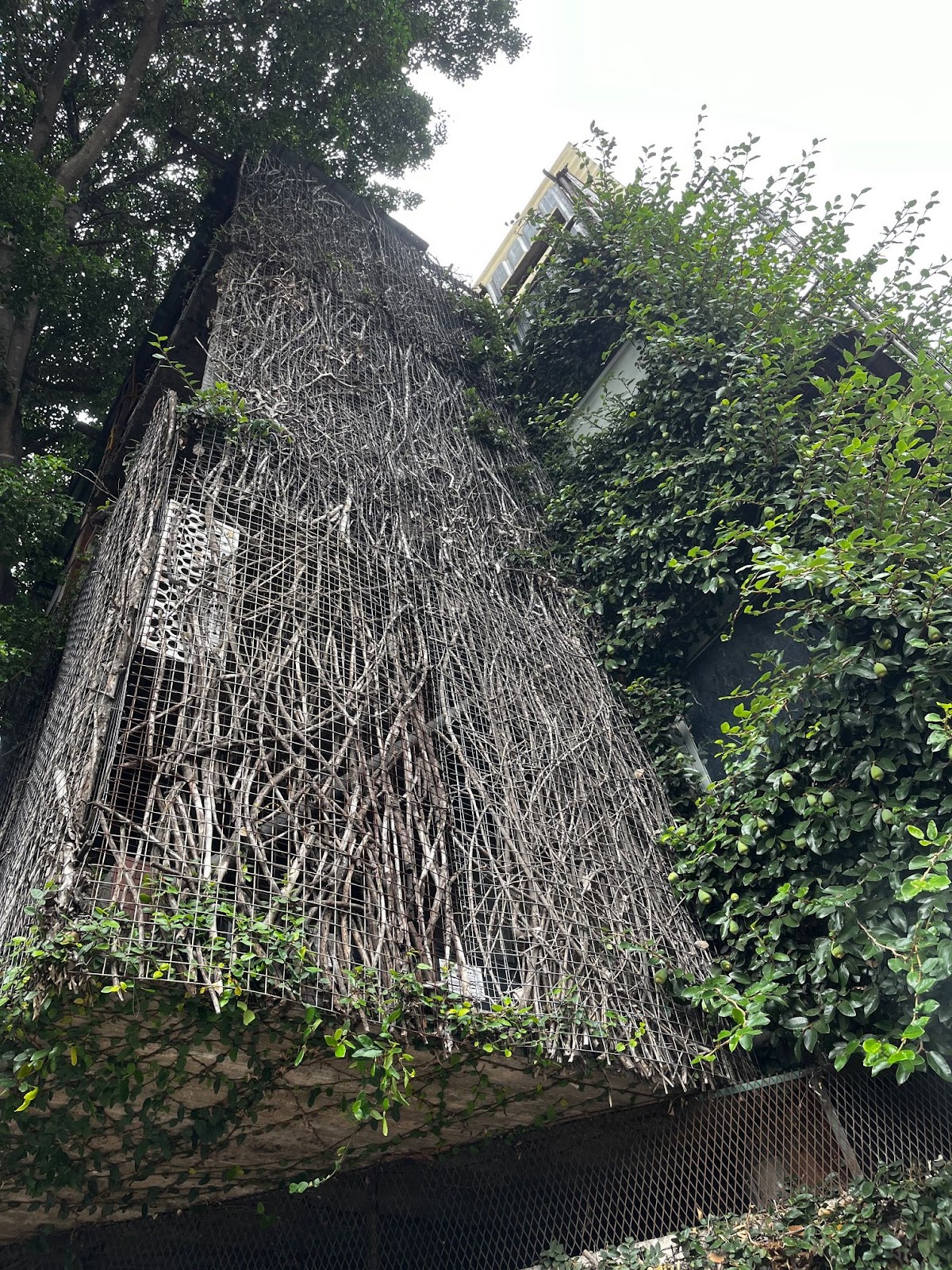 Estudio Pico — foto 2