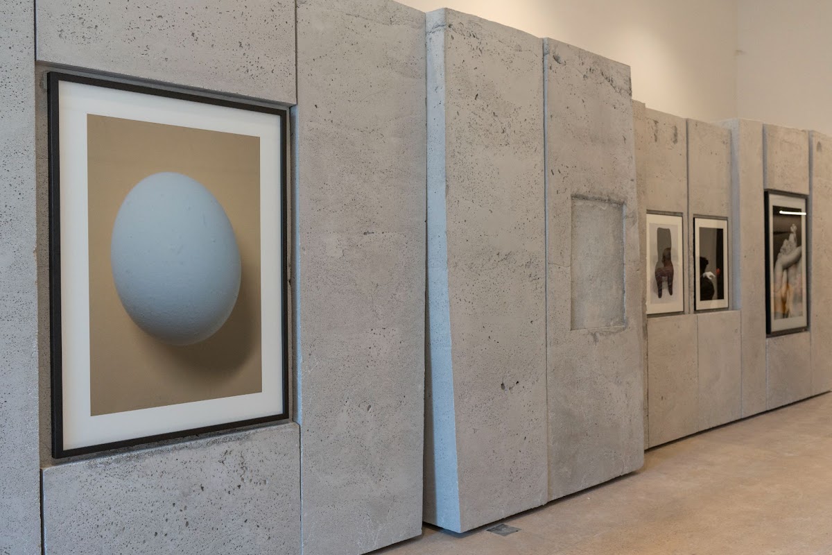 Fundación Larivière — foto 6