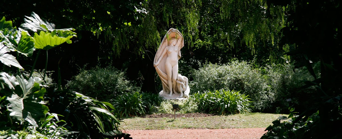 Jardin Botánico — foto 2