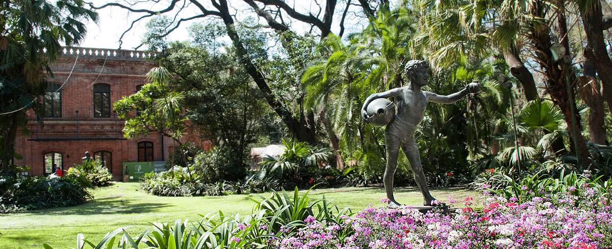 Jardin Botánico — foto 4