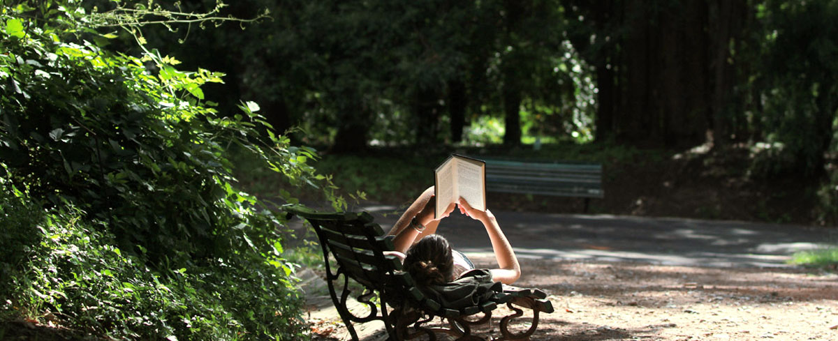Jardin Botánico — foto 5