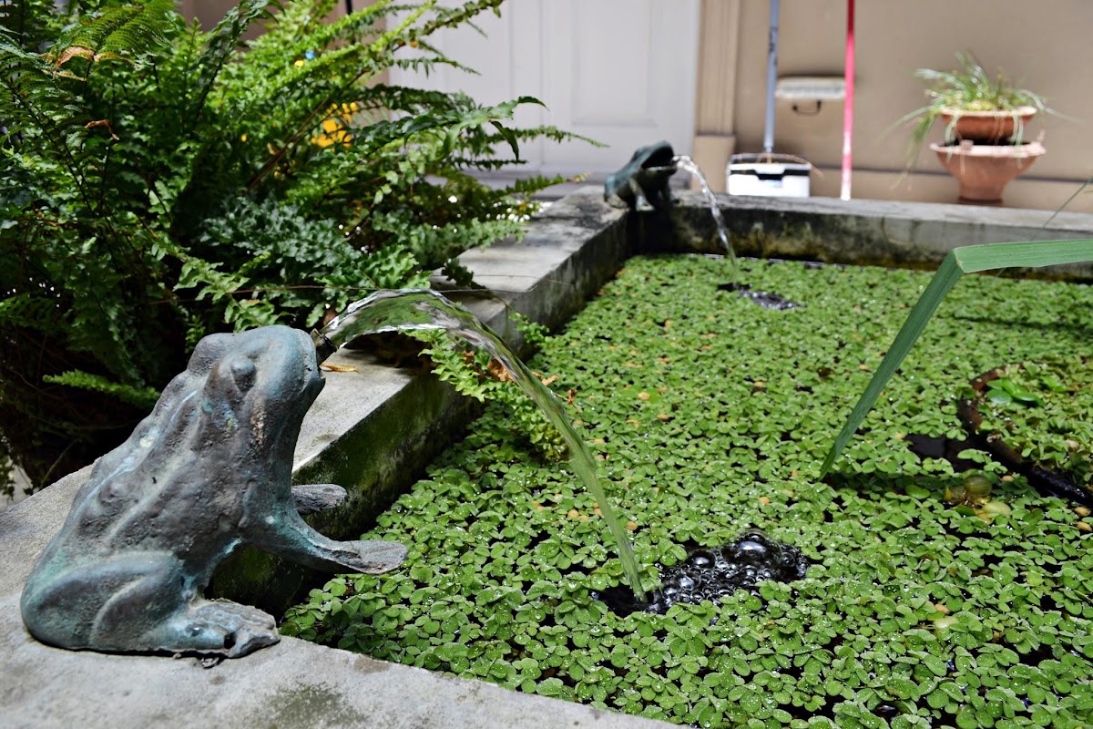Hotel Patios de San Telmo — foto 4